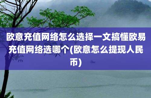 欧意充值网络怎么选择一文搞懂欧易充值网络选哪个(欧意怎么提现人民币)