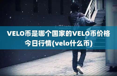 VELO币是哪个国家的VELO币价格今日行情(velo什么币)