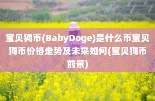 宝贝狗币(BabyDoge)是什么币宝贝狗币价格走势及未来如何(宝贝狗币前景)