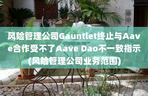 风险管理公司Gauntlet终止与Aave合作受不了Aave Dao不一致指示(风险管理公司业务范围)