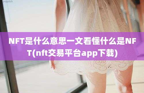 NFT是什么意思一文看懂什么是NFT(nft交易平台app下载)