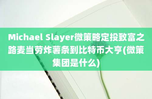 Michael Slayer微策略定投致富之路麦当劳炸薯条到比特币大亨(微策集团是什么)