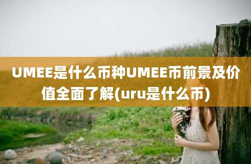 UMEE是什么币种UMEE币前景及价值全面了解(uru是什么币)