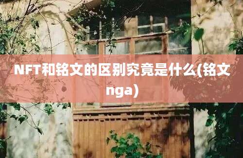 NFT和铭文的区别究竟是什么(铭文nga)