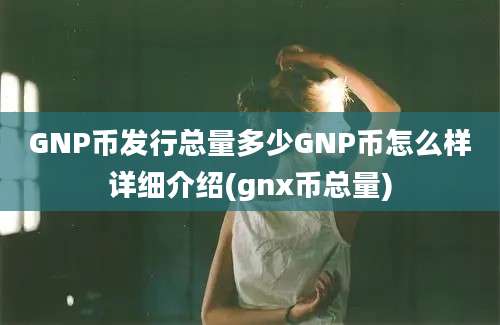 GNP币发行总量多少GNP币怎么样详细介绍(gnx币总量)