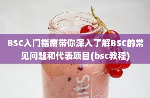 BSC入门指南带你深入了解BSC的常见问题和代表项目(bsc教程)