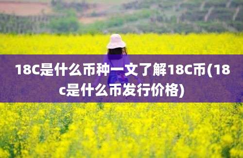 18C是什么币种一文了解18C币(18c是什么币发行价格)