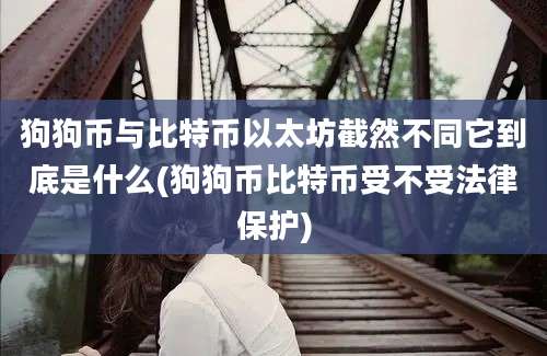 狗狗币与比特币以太坊截然不同它到底是什么(狗狗币比特币受不受法律保护)