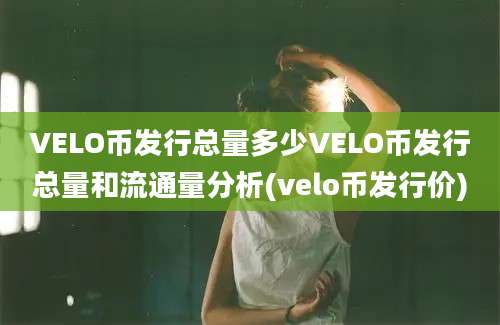 VELO币发行总量多少VELO币发行总量和流通量分析(velo币发行价)