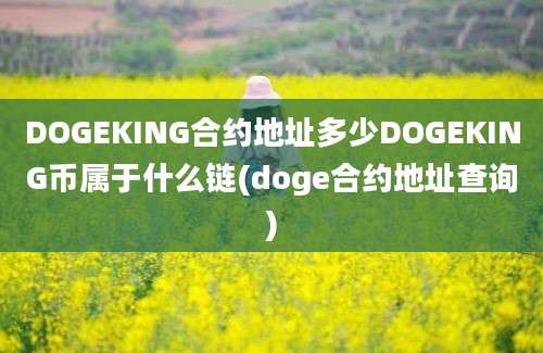 DOGEKING合约地址多少DOGEKING币属于什么链(doge合约地址查询)