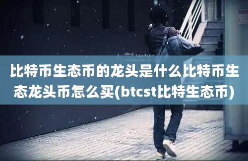 比特币生态币的龙头是什么比特币生态龙头币怎么买(btcst比特生态币)