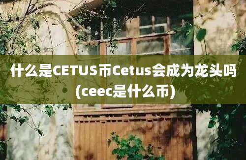 什么是CETUS币Cetus会成为龙头吗 (ceec是什么币)