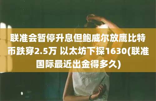 联准会暂停升息但鲍威尔放鹰比特币跌穿2.5万 以太坊下探1630(联准国际最近出金得多久)