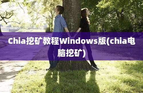 Chia挖矿教程Windows版(chia电脑挖矿)