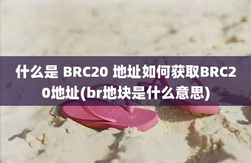 什么是 BRC20 地址如何获取BRC20地址(br地块是什么意思)