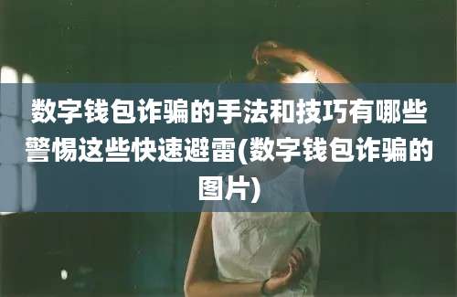 数字钱包诈骗的手法和技巧有哪些警惕这些快速避雷(数字钱包诈骗的图片)