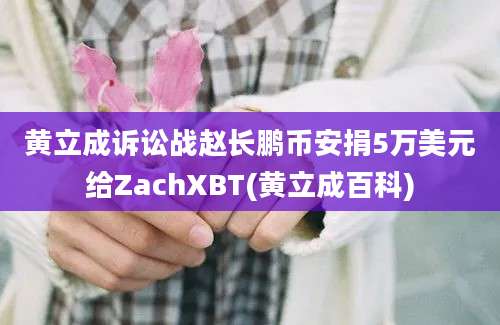 黄立成诉讼战赵长鹏币安捐5万美元给ZachXBT(黄立成百科)