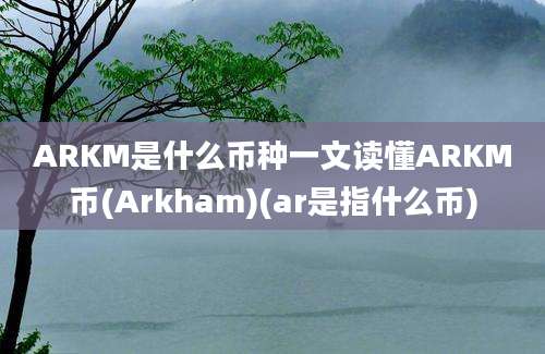 ARKM是什么币种一文读懂ARKM币(Arkham)(ar是指什么币)