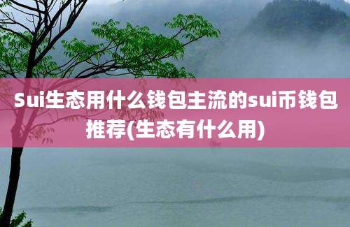 Sui生态用什么钱包主流的sui币钱包推荐(生态有什么用)