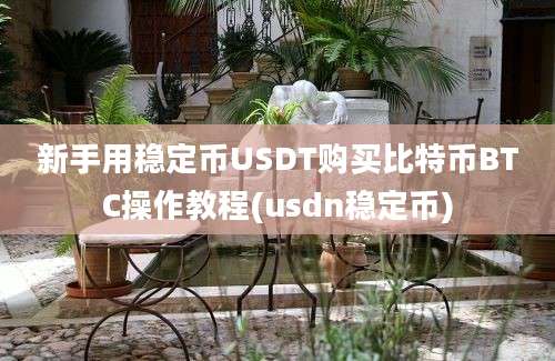 新手用稳定币USDT购买比特币BTC操作教程(usdn稳定币)