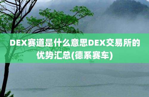 DEX赛道是什么意思DEX交易所的优势汇总(德系赛车)