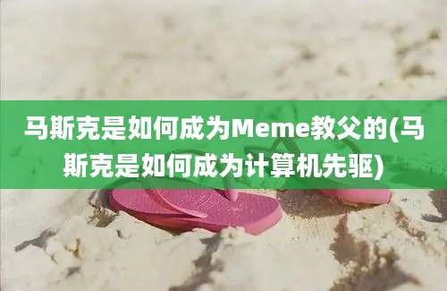 马斯克是如何成为Meme教父的(马斯克是如何成为计算机先驱)