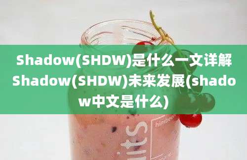 Shadow(SHDW)是什么一文详解Shadow(SHDW)未来发展(shadow中文是什么)