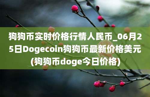 狗狗币实时价格行情人民币_06月25日Dogecoin狗狗币最新价格美元(狗狗币doge今日价格)