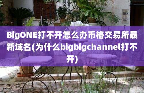 BigONE打不开怎么办币格交易所最新域名(为什么bigbigchannel打不开)