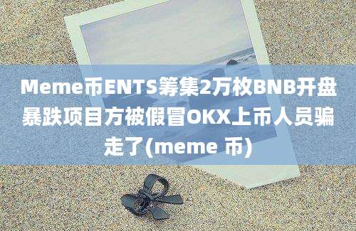 Meme币ENTS筹集2万枚BNB开盘暴跌项目方被假冒OKX上币人员骗走了(meme 币)