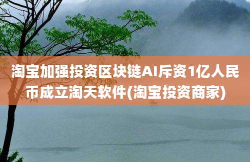 淘宝加强投资区块链AI斥资1亿人民币成立淘天软件(淘宝投资商家)