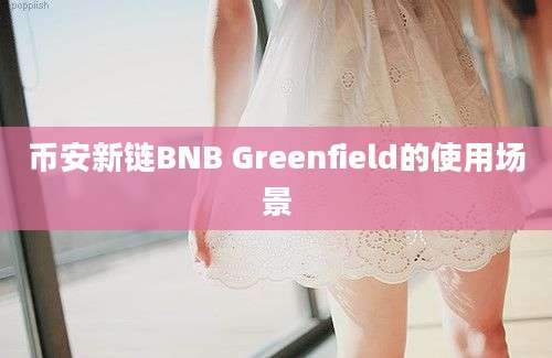 币安新链BNB Greenfield的使用场景