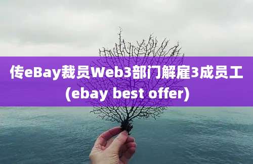 传eBay裁员Web3部门解雇3成员工(ebay best offer)