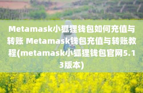 Metamask小狐狸钱包如何充值与转账 Metamask钱包充值与转账教程(metamask小狐狸钱包官网5.13版本)