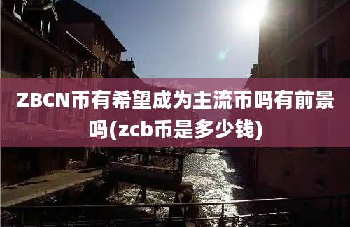 ZBCN币有希望成为主流币吗有前景吗(zcb币是多少钱)