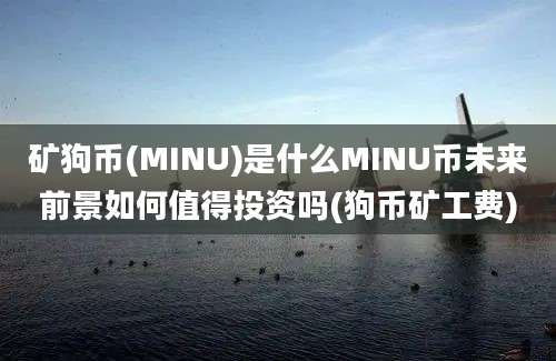 矿狗币(MINU)是什么MINU币未来前景如何值得投资吗(狗币矿工费)