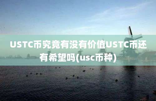 USTC币究竟有没有价值USTC币还有希望吗(usc币种)