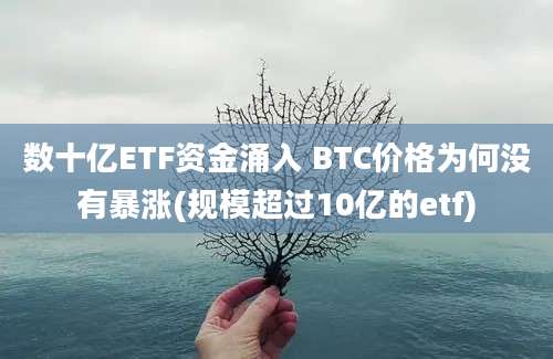 数十亿ETF资金涌入 BTC价格为何没有暴涨(规模超过10亿的etf)