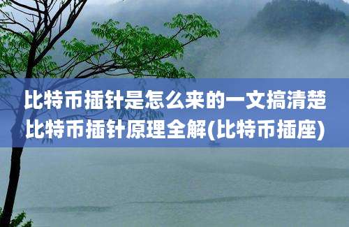 比特币插针是怎么来的一文搞清楚比特币插针原理全解(比特币插座)