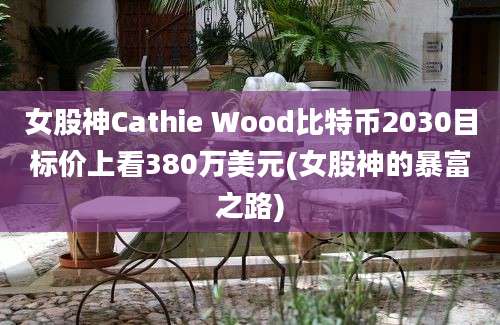 女股神Cathie Wood比特币2030目标价上看380万美元(女股神的暴富之路)