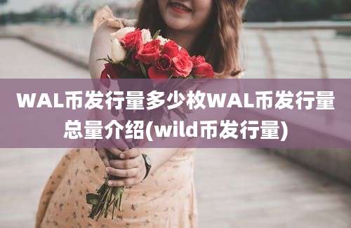 WAL币发行量多少枚WAL币发行量总量介绍(wild币发行量)