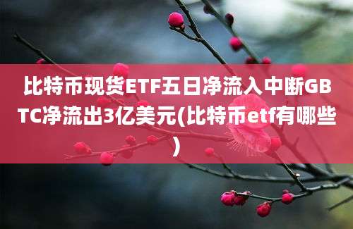 比特币现货ETF五日净流入中断GBTC净流出3亿美元(比特币etf有哪些)