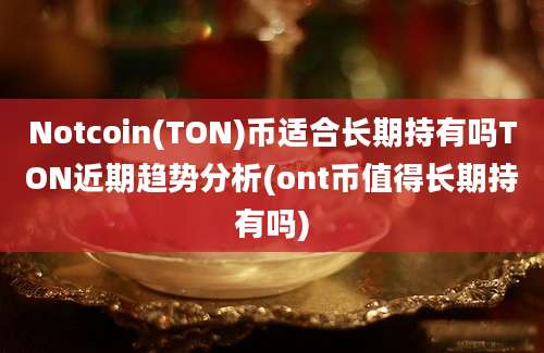 Notcoin(TON)币适合长期持有吗TON近期趋势分析(ont币值得长期持有吗)