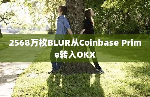 2568万枚BLUR从Coinbase Prime转入OKX