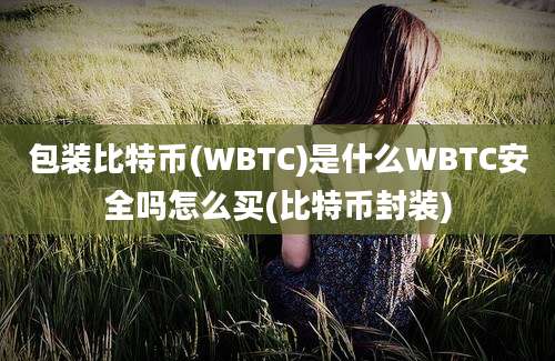 包装比特币(WBTC)是什么WBTC安全吗怎么买(比特币封装)