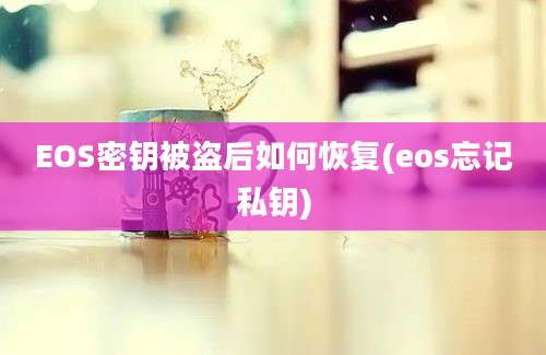 EOS密钥被盗后如何恢复(eos忘记私钥)