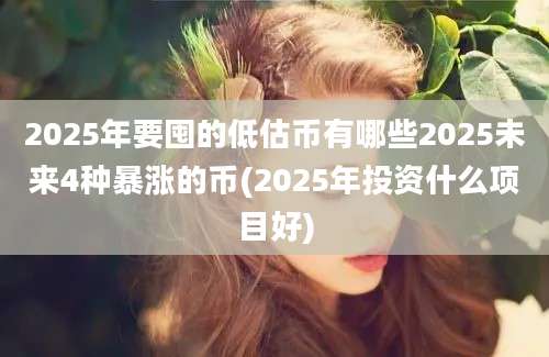 2025年要囤的低估币有哪些2025未来4种暴涨的币(2025年投资什么项目好)