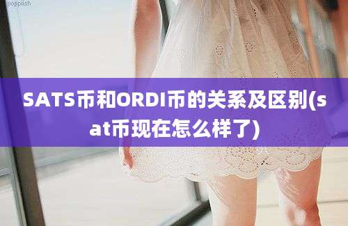 SATS币和ORDI币的关系及区别(sat币现在怎么样了)