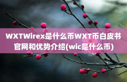 WXTWirex是什么币WXT币白皮书官网和优势介绍(wic是什么币)