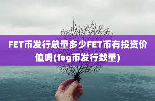 FET币发行总量多少FET币有投资价值吗(feg币发行数量)